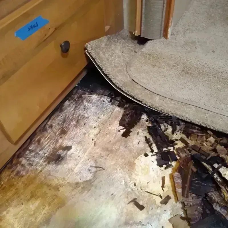 Wood Floor Water Damage in Dillingham Census Area, AK